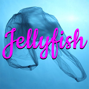 � jellyfish �